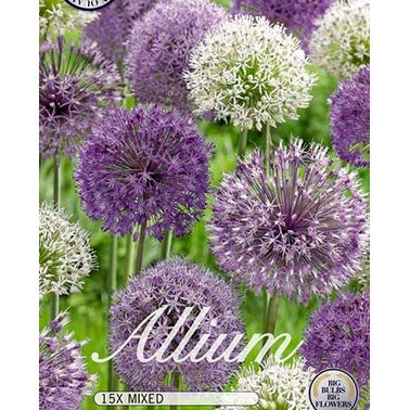 Allium Mix 15-pakkaus