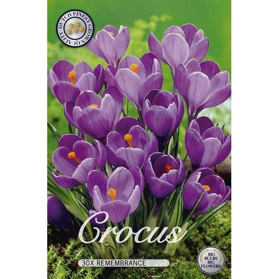 Krokus Muistopaketti 30 kpl
