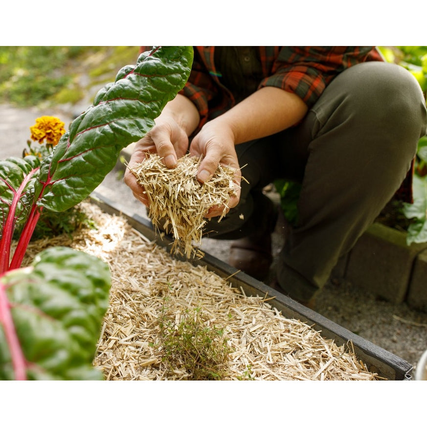 Hampaströ, 48 litraa, 48 kpl, Apupakkaus