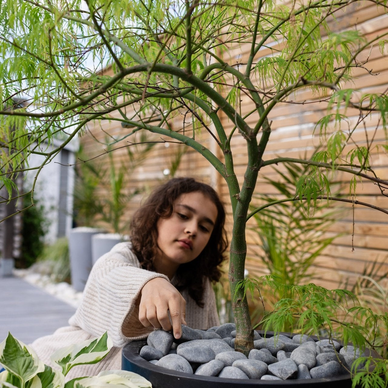 Dekoratiivinen kivi Harmaa basaltti 30-60mm, 500kg, 50kpl, Puolipaketti