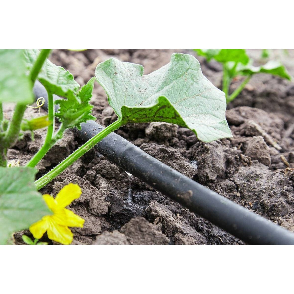 Droppiputki, 25 metriä, Startset-Basic - Ilmainen toimitus » Ecoplant