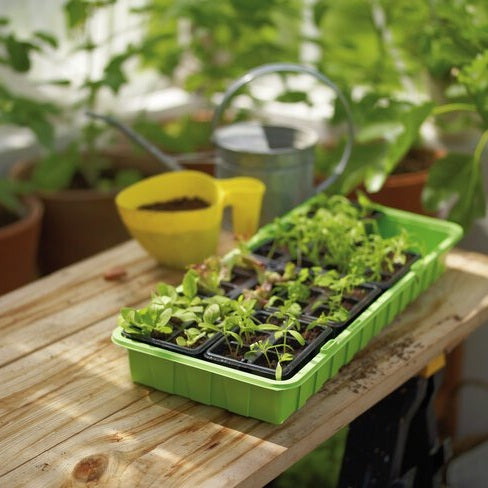 Minikasvihuoneen ruukkuinsertit Suuri
