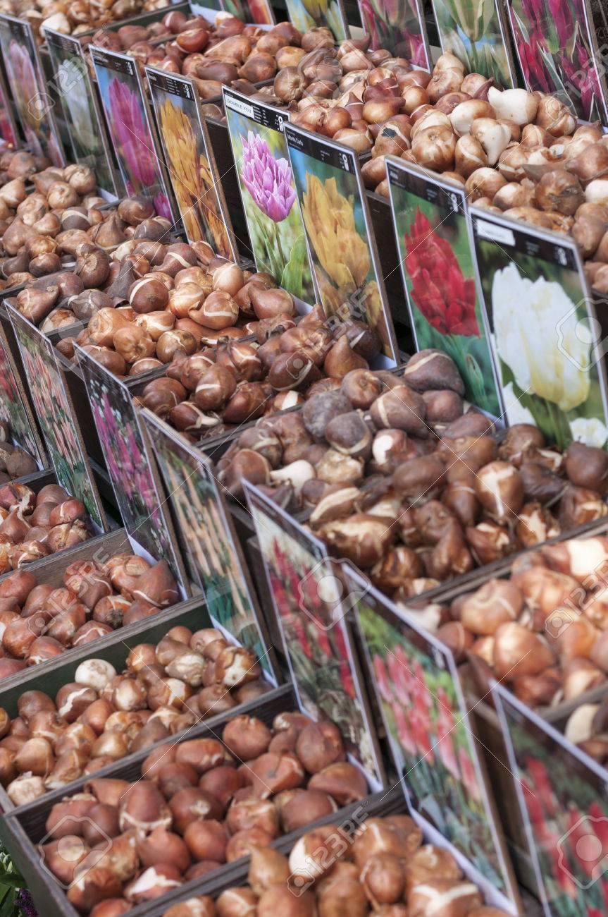 Ensimmäinen kirjoitus uudella sivustolla :)