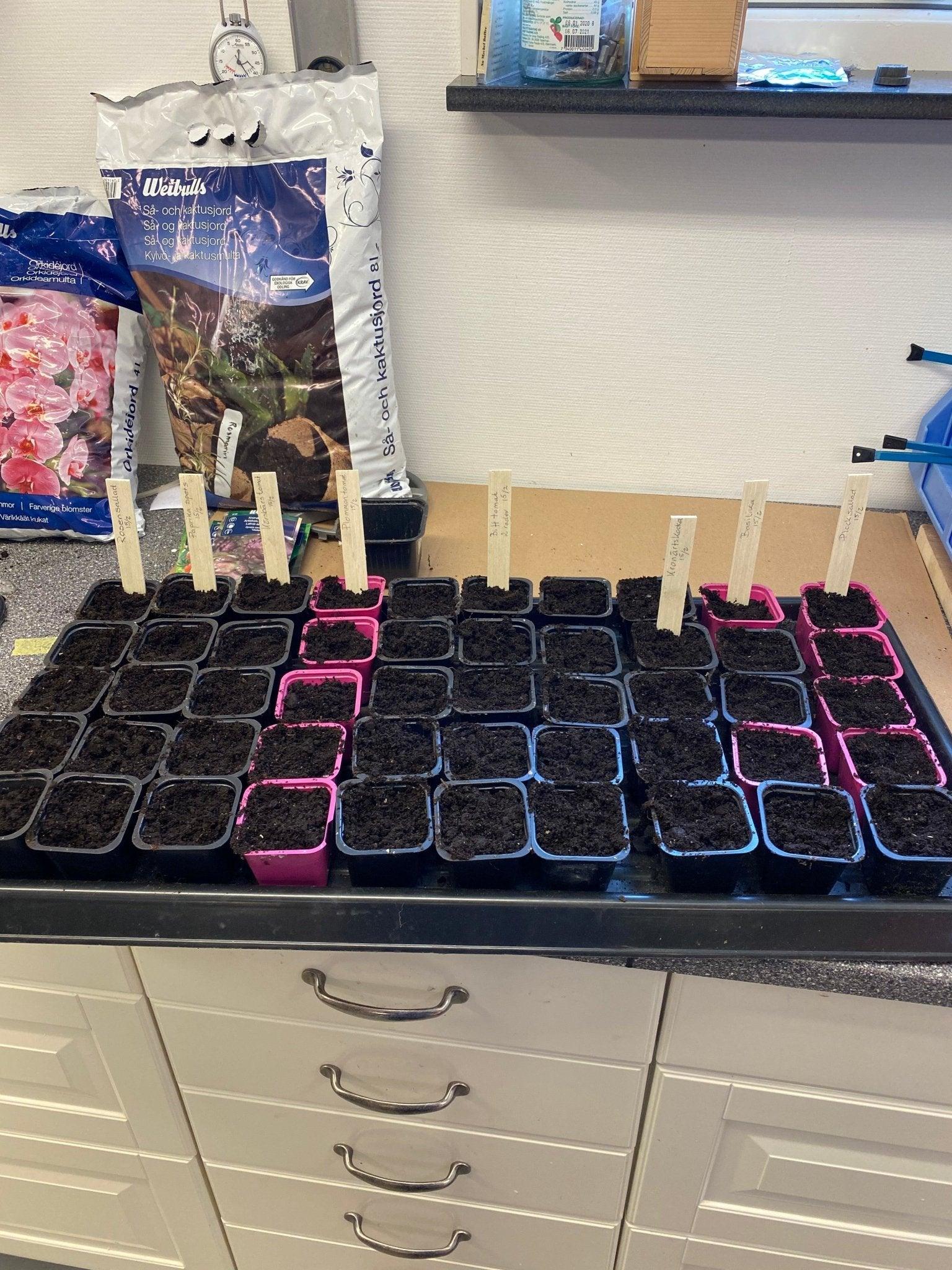 Nyt aloitan näin, Hurraa.....