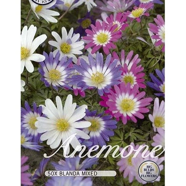 Anemon Mix 50-pakkaus