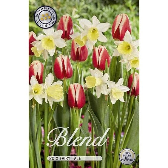 Tulppaani/Narsissi Satutarha 20-pakkaus