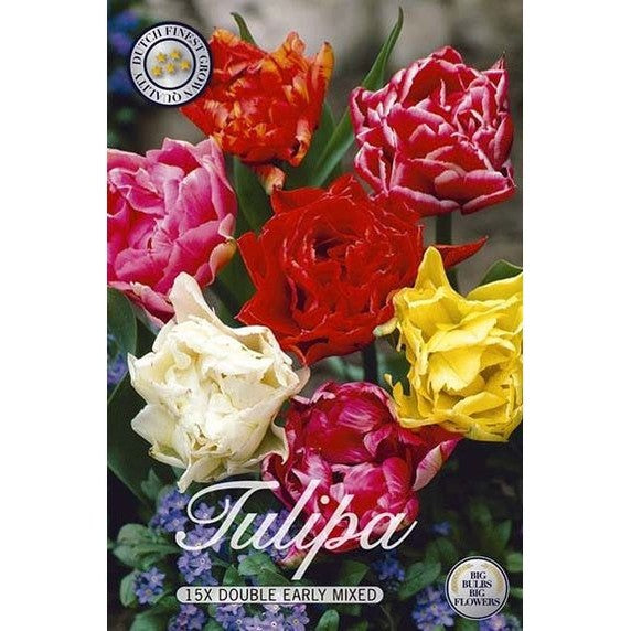 Tulppaani Dubbel Tidig Mix 15-pakkaus