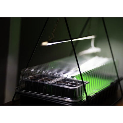 Minikasvihuoneen ruukkuinsertit Suuri