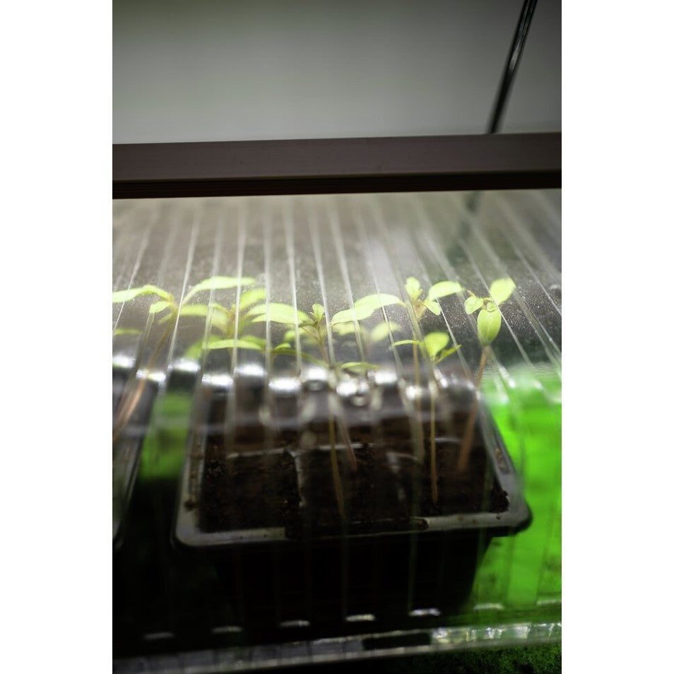 Minikasvihuoneen ruukkuinsertit Suuri