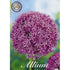 Allium &