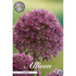 Allium &