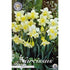 Narcissus Pueblo 7-pack