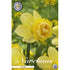 Narcissus Milena 5-pack