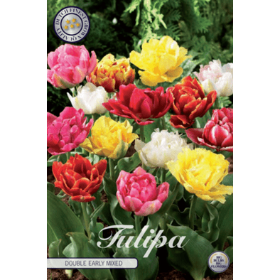 Tulpan Double Early Mixed 7-pack