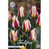 Tulpan Mary Ann 7-pack