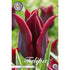Tulpan Merlot 7-pack