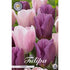 Tulpan Promise 10-pack