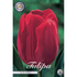 Tulpan Ile de France 10-pack