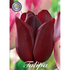 Tulpan National Velvet 7-pack