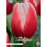 Tulpan Timeless 7-pack