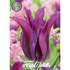 Tulpan Purple Doll 7-pack