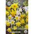 Narcissus Botanical Mixed 10-pack