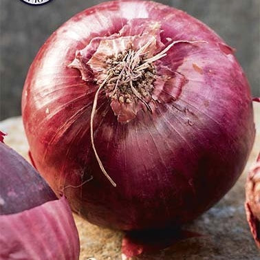 Lök-Onion Red Sun 250 g