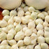Lök-Onion Snowball 250 g