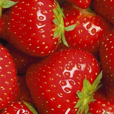 Jordgubb Ostara 5-pack