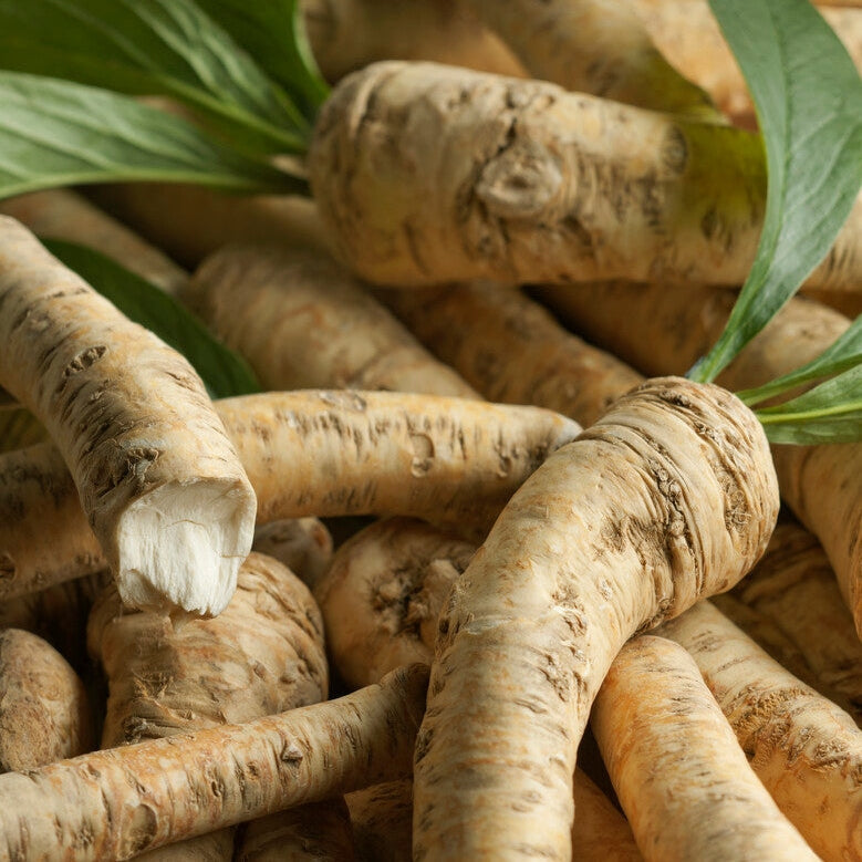 Piparjuuri-Armoracia 1-pakkaus