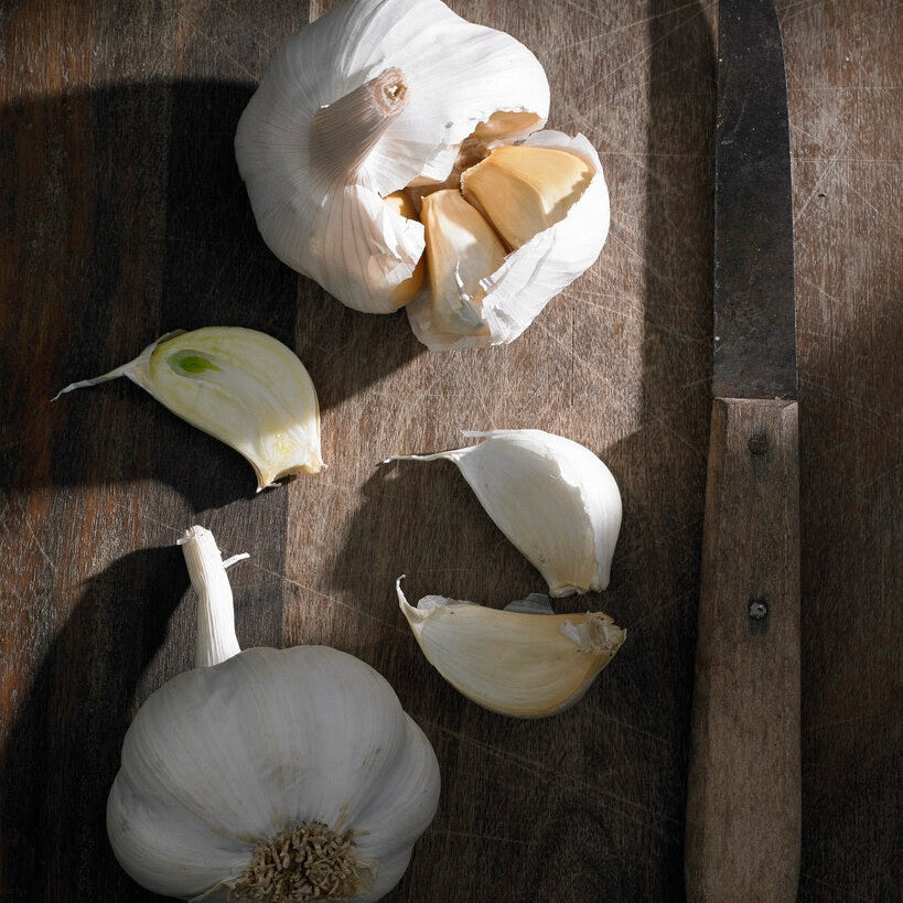 Valkosipuli-Allium Sativum 2-pakkaus